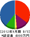 小澤造園 貸借対照表 2012年9月期