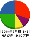 大翔 貸借対照表 2008年5月期