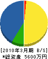 池田電工 貸借対照表 2010年3月期