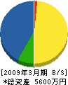池田電工 貸借対照表 2009年3月期