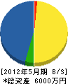 藤川建設 貸借対照表 2012年5月期