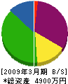 田所電工 貸借対照表 2009年3月期