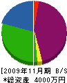 豊田造園 貸借対照表 2009年11月期