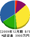 山本英組 貸借対照表 2009年12月期