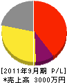 片山電気 損益計算書 2011年9月期