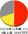 今村電気商会 損益計算書 2010年12月期