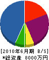 岡田建設 貸借対照表 2010年6月期