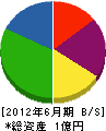 丸京商事 貸借対照表 2012年6月期