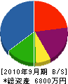 大嶋電機工業 貸借対照表 2010年9月期