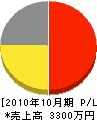 渡邉木工所 損益計算書 2010年10月期