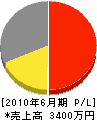 丸寛佐藤電気 損益計算書 2010年6月期