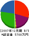 川西工務店 貸借対照表 2007年12月期