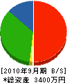 塚本造園工務所 貸借対照表 2010年9月期