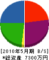 伊藤水道 貸借対照表 2010年5月期