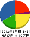 井嶋組 貸借対照表 2012年3月期