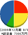 胡桃澤組 貸借対照表 2009年12月期
