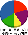サダテ 貸借対照表 2010年9月期 サダテ 貸借対照表 2010年9月期