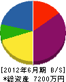 関根電気 貸借対照表 2012年6月期
