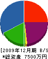 平賀建設 貸借対照表 2009年12月期