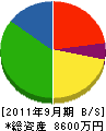 飯岡電気商会 貸借対照表 2011年9月期