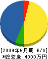 南日本ＡＶＣシステム 貸借対照表 2009年6月期