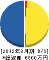 日本通信システム 貸借対照表 2012年6月期