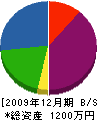 児玉庭石園 貸借対照表 2009年12月期
