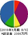 岩谷電気 貸借対照表 2010年9月期 岩谷電気 貸借対照表 2010年9月期