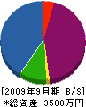 タカハシ塗装 貸借対照表 2009年9月期