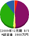 永野板金工作所 貸借対照表 2009年12月期