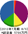 田中水道設備 貸借対照表 2012年7月期