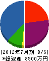 松本建設 貸借対照表 2012年7月期