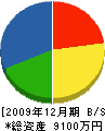 会津創苑 貸借対照表 2009年12月期