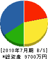 坂本電気商会 貸借対照表 2010年7月期