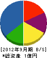 齋藤電工 貸借対照表 2012年9月期