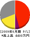 さんび 損益計算書 2009年6月期