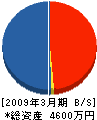 石川県金属屋根（同） 貸借対照表 2009年3月期