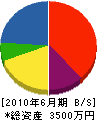 串本鋼材 貸借対照表 2010年6月期