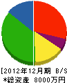 小島建設 貸借対照表 2012年12月期