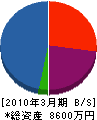 日南電機工業 貸借対照表 2010年3月期