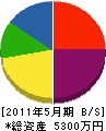 志村電気 貸借対照表 2011年5月期