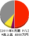 嶋田工業 損益計算書 2011年6月期