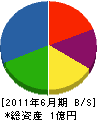 山本商店 貸借対照表 2011年6月期