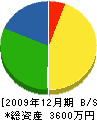 渡辺工作所 貸借対照表 2009年12月期