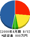 平尾電気商会 貸借対照表 2008年4月期