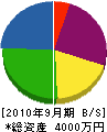 桜栄建設 貸借対照表 2010年9月期