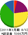 佐藤電気工業 貸借対照表 2011年3月期