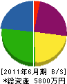 秋山電気商会 貸借対照表 2011年6月期