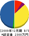 児玉電機商会 貸借対照表 2008年12月期