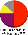 藤井塗装 損益計算書 2009年12月期